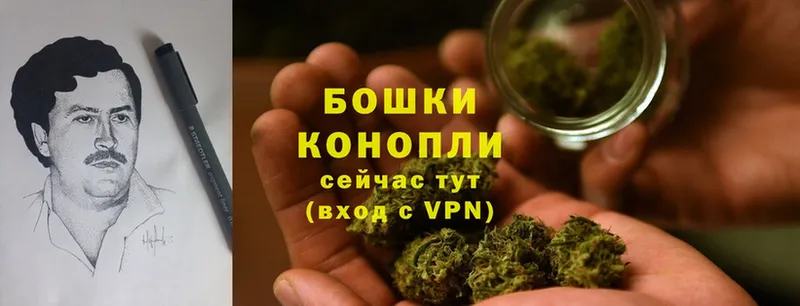 Шишки марихуана White Widow  Грязи 